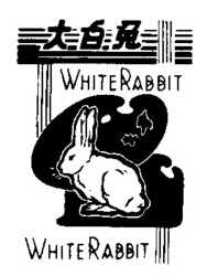 Міжнародна реєстрація торговельної марки № 601003: WHITE RABBIT