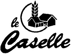 Міжнародна реєстрація торговельної марки № 606103: le Caselle