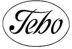 Міжнародна реєстрація торговельної марки № 615490: Tebo
