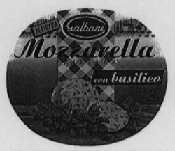 Міжнародна реєстрація торговельної марки № 621787: Galbani Mozzarella con basilico