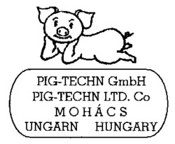 Міжнародна реєстрація торговельної марки № 641993: PIG-TECHN GmbH PIG-TECHN LTD. Co MOHÁCS UNGARN HUNGARY,