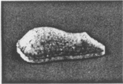 Міжнародна реєстрація торговельної марки № 643538