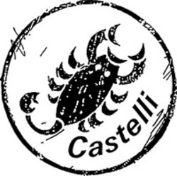 Міжнародна реєстрація торговельної марки № 644265: Castelli