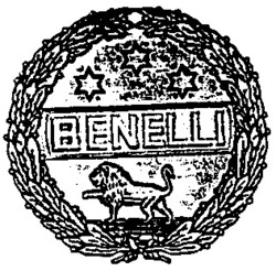 Міжнародна реєстрація торговельної марки № 652715: BENELLI