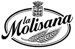 Міжнародна реєстрація торговельної марки № 656623: la Molisana