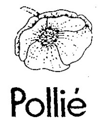 Міжнародна реєстрація торговельної марки № 661573: Pollié