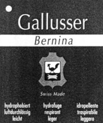 Міжнародна реєстрація торговельної марки № 667613: Gallusser Bernina Swiss Made