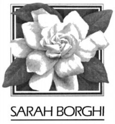Міжнародна реєстрація торговельної марки № 678438: SARAH BORGHI