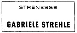 Міжнародна реєстрація торговельної марки № 690195: STRENESSE GABRIELE STREHLE