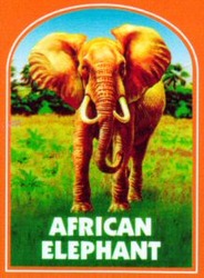 Міжнародна реєстрація торговельної марки № 697006: AFRICAN ELEPHANT