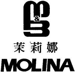 Міжнародна реєстрація торговельної марки № 740460: MOLINA