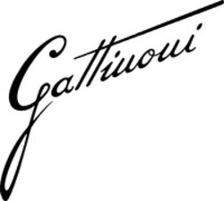 Міжнародна реєстрація торговельної марки № 793537: Gattinoni