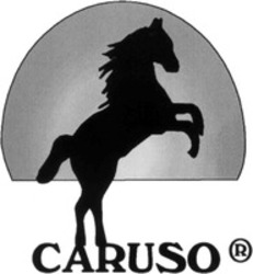 Міжнародна реєстрація торговельної марки № 810546: CARUSO