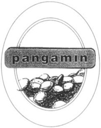 Міжнародна реєстрація торговельної марки № 824200: pangamin