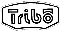 Міжнародна реєстрація торговельної марки № 833539: Tribo