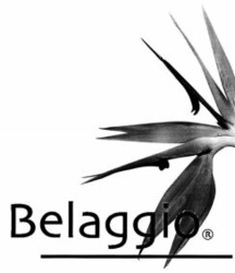 Міжнародна реєстрація торговельної марки № 838815: Belaggio