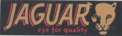 Міжнародна реєстрація торговельної марки № 843850: JAGUAR eye for quality