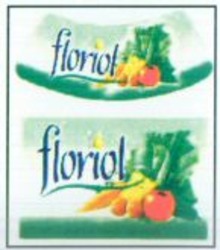 Міжнародна реєстрація торговельної марки № 852348: floriol