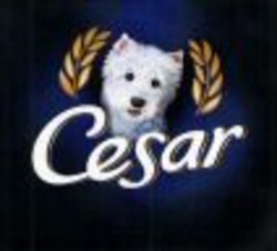 Міжнародна реєстрація торговельної марки № 859329: Cesar