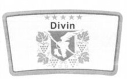 Міжнародна реєстрація торговельної марки № 861738: Divin