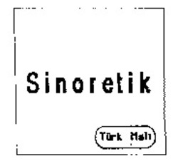Міжнародна реєстрація торговельної марки № 866699: Sinoretik Türk Mali