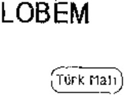 Міжнародна реєстрація торговельної марки № 869156: LOBEM