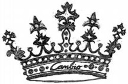 Міжнародна реєстрація торговельної марки № 883897: Cambio