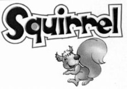 Міжнародна реєстрація торговельної марки № 901590: Squirrel