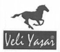 Міжнародна реєстрація торговельної марки № 904250: Veli Yasar
