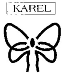 Міжнародна реєстрація торговельної марки № 907196: KAREL