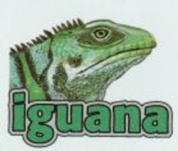 Міжнародна реєстрація торговельної марки № 915462: iguana