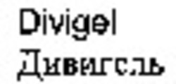 Міжнародна реєстрація торговельної марки № 919531: Divigel