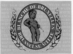 Міжнародна реєстрація торговельної марки № 931824: BLANCHE DE BRUXELLES BRUSSELSE WITTE