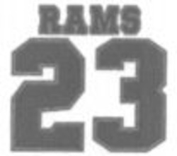 Міжнародна реєстрація торговельної марки № 938095: RAMS 23