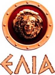 Міжнародна реєстрація торговельної марки № 950772