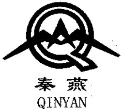 Міжнародна реєстрація торговельної марки № 958201: QINYAN