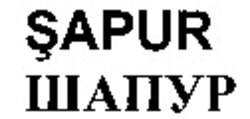 Міжнародна реєстрація торговельної марки № 976912: SAPUR