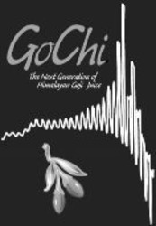 Міжнародна реєстрація торговельної марки № 979002: GoChi The Next Generation of Himalayan Goji Juice