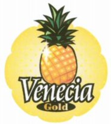 Міжнародна реєстрація торговельної марки № 979295: Venecia Gold