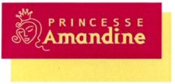 Міжнародна реєстрація торговельної марки № 986045: PRINCESSE Amandine