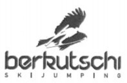 Міжнародна реєстрація торговельної марки № 987958: berkutschi SKIJUMPING