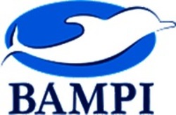 Міжнародна реєстрація торговельної марки № 995552: BAMPI