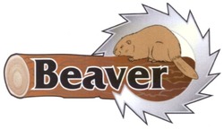 Свідоцтво торговельну марку № 189322 (заявка m201310092): beaver