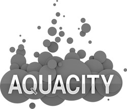 Свідоцтво торговельну марку № 319440 (заявка m202013271): aquacity