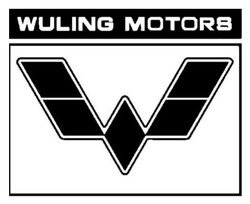 Заявка на торговельну марку № m202521987: wuling motors