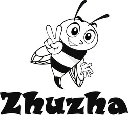 Свідоцтво торговельну марку № 308967 (заявка m201924172): zhuzha; жужа