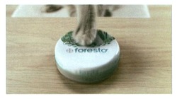Свідоцтво торговельну марку № 231418 (заявка m201603197): foresto