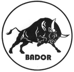 Свідоцтво торговельну марку № 290175 (заявка m201905055): bador