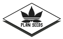 Заявка на торговельну марку № m202323878: plan seeds