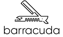 Свідоцтво торговельну марку № 314744 (заявка m202010583): barracuda